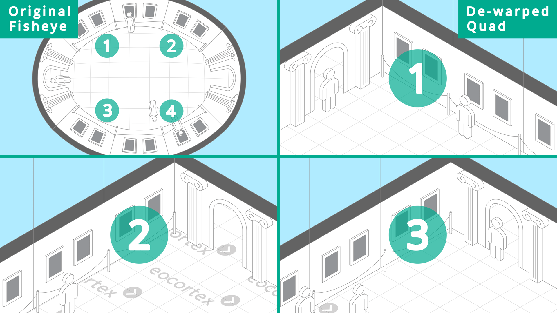 Fisheye Dewarping for Museums & Art Galleries Showcasing of Fisheye Dewarping for museums & art galleries. CCTV surveillance system operates on the basis of the Eocortex Video Management Software.
